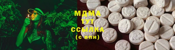 гидропоника Гусиноозёрск