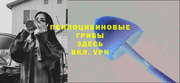 гидропоника Гусиноозёрск