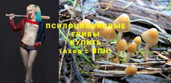 гидропоника Гусиноозёрск